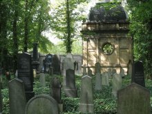 Новое еврейское кладбище / .....