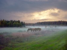 Тихий вечер / Туманы низин Белоруссии