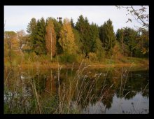 Зарисовки осени / Уходящая красота