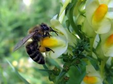 загляну еще сюда. / F=5,8мм, 1/200с, 5,6.