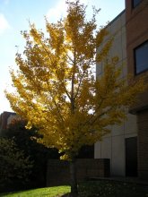 50/50 / Vanderbilt