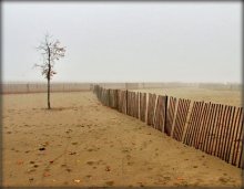 ..сумота.. / .....