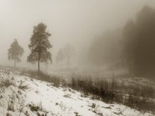 Зимний туман / в Витебске
