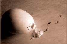 Рождение... / ...