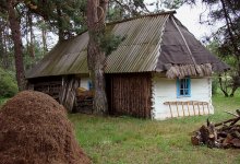 Полесский хутор / Домик из 1800-ых годов. Кто жил в нем изначально - не помнит никто. В начале 20 века здесь "бидувала" вдова с тремя детьми. Когда ее сын привел невестку - хату расширили. Сейчас там живет одна бабушка, по-видимому внучка вдовы. 9 лет назад поверх соломы положили шифер, а 6 лет назад провели свет.