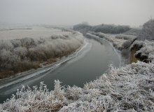 Река Стырь / Фотографировал сегодня. На реке много уток. Видел как по закрайках льда на них охотилась лиса. В замороженой траве много перепелок.