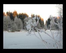 В зимней паутине... / Зима