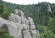 Скала / в Карпатах!