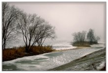 Зимний сон / Когда ж проснулась я - за лесом
Всходила тусклая луна;
Вокруг меня в сиянье бледном
Лежала чуждая страна...
И, озираясь, на деревьях
Я вижу иней, а не цвет;
Поля покрыты были снегом...