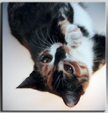 Ещё один ракурс моей шкоды... / Предметный столик и подсветка снизу.