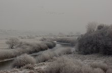 Сильный мороз в долине реки / Полдень, солнце еле просвечивает сквозь дымку. Стайку уток согнала, крадущаяся по закрайкам льда, лиса.