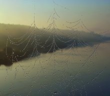 Кленовый лист / Вид на Оку с моста сквозь паутину с росой