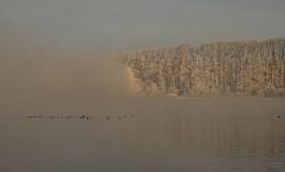 Утро на озере Лебединое. / Алтай.Озеро Лебединое.
