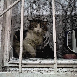Чё-то я очкую, Славик / ***