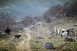 Пастухи / Крым, февраль