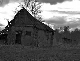 И на камнях растут деревья / ........