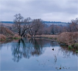 Уже не осень, но еще не зима... / Холодная, прозрачная вода...Задумчивая речка с названием Белая...Первый снежок припорошил землю...Задумчивость и грусть в природе и у меня в душе...Так было в моем родном Донбассе несколько лет назад в конце ноября...