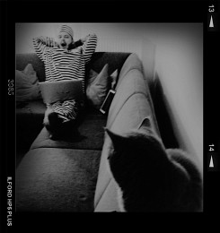 School holiday / School holiday