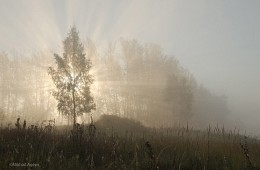 Пронизанные светом сентября / Россия. Тульская область. Ленинский район. Архангельское.