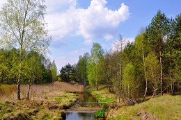 бобровая речка / весна, легко дышится