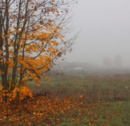 тоскливая осень / туман осенний