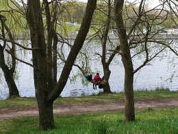 Весеннее обострение, русалки на ветвях лежат. / Нарастающая энергия весны на всех действует по разному. Юных девушек потянуло к воде и им захотелось посидеть и полежать на деревьях.