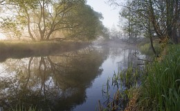 Майское утро / природа Беларуси