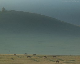Утро Монголии / Северная Монголия