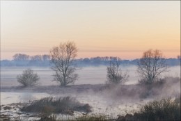 Молочное утро / Рогачёв, Гомельская обл. 
Утро на Пасху