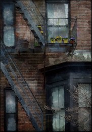 flowers on the wall / Фотоимпрессионизм