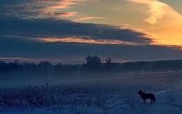 Морозная , закатная . / Зимний пейзажик .