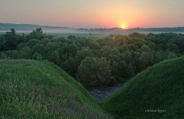 Утро над распадком / Россия. Тульская область. Ефремовский район. Ишутинское городище.