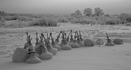 Исход / Россия. Тульская область.