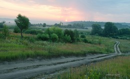 У дороги, у самой развилки / Россия. Тульская область. Алексинский район. Першино.