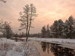 Зимний пейзаж с рекой / Река Вьюн близь Лемболово, Карельский перешеек