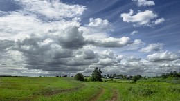 Предвестники грозы... / Природа Вологодчины...