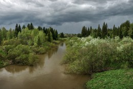 перед грозой / ***