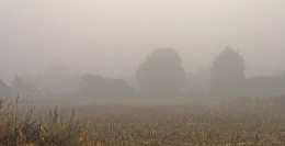 глубокая осень / в деревне осенний туман