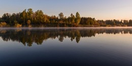 Утренние сны. / ***
