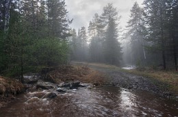 Вечерний туман / Вечер после дождя