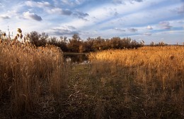 Тропа / река Волчья