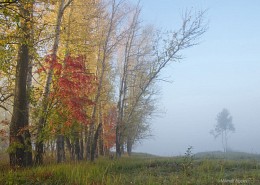 Возможно к сердцу прикоснулась осень / Россия. Тульская область. Ленинский район. Архангельское.