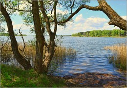 рыбацкий портал / минское море