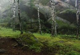 В заповедных местах.... / Скалы и лёгкий туман...