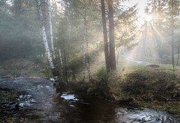 Туман и солнце / После дождя