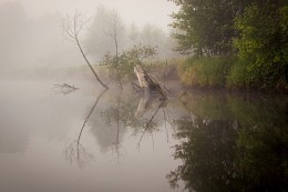 Река Снов / Черниговская область