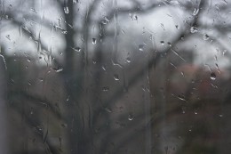 дождь / фото из серии дождь