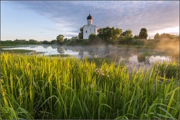 Храм Покрова на Нерли / Владимирская обл. Село Боголюбово. 
Храм Покрова на Нерли. 

июнь 2015