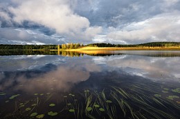 Зеркало августовского вечера / ***