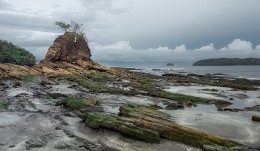 Bahía Carrillo / Bahía Carrillo 
Costa Rica